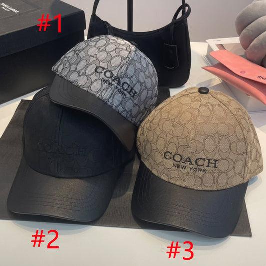 14A279M   Fashion hats