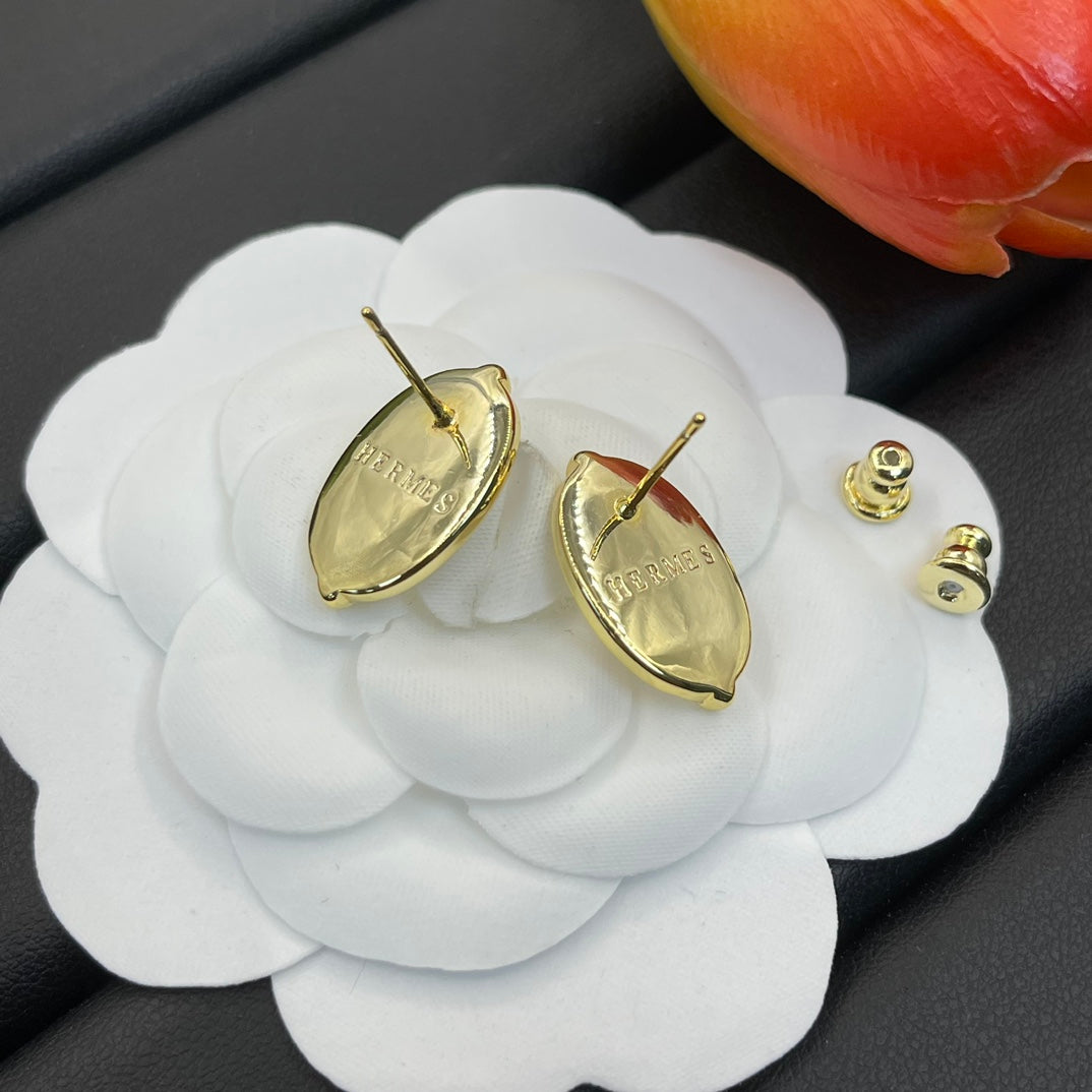 14H613E  Fashion Earrings