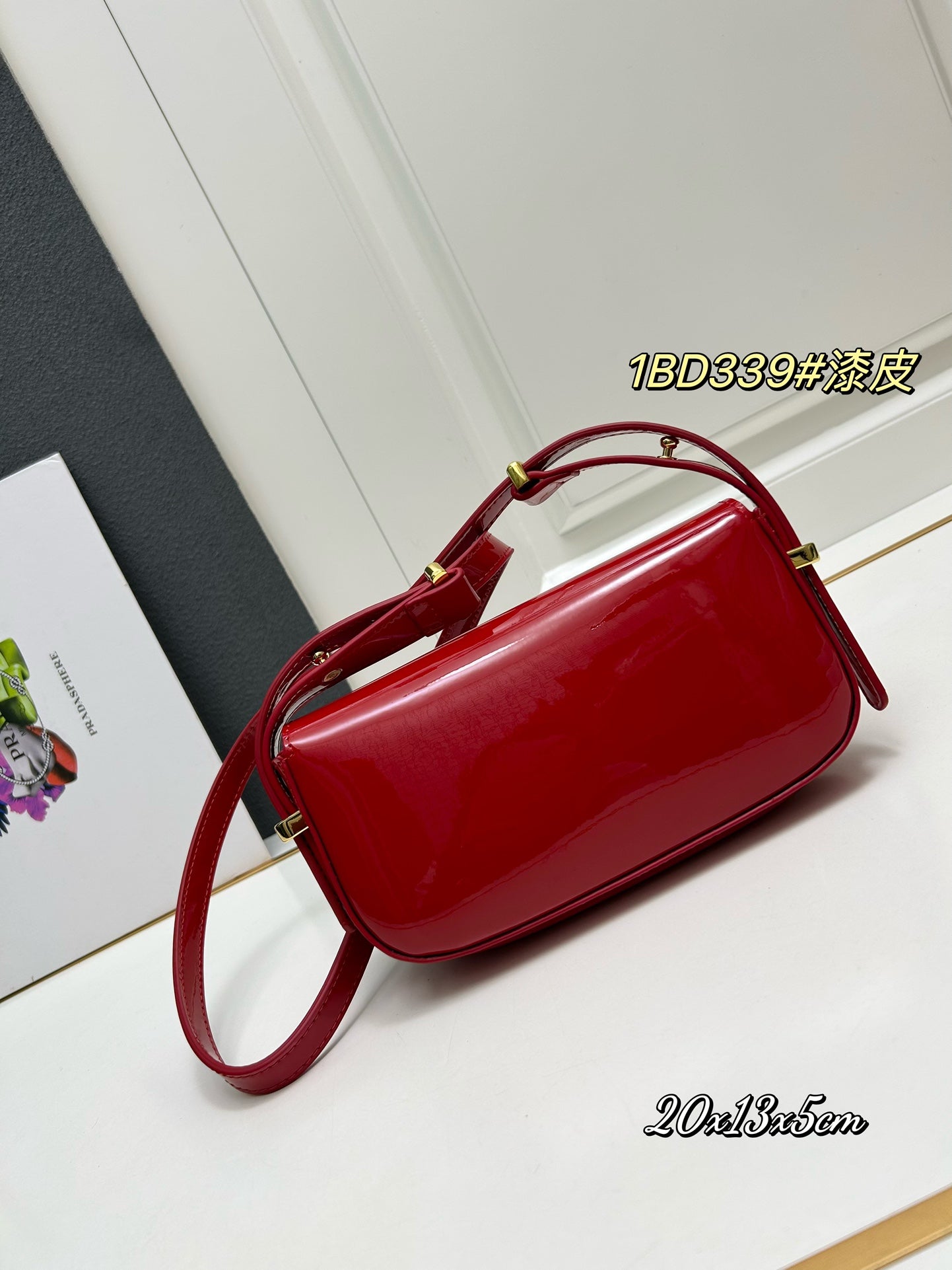 AXPD71B (Fashionable leather bag )