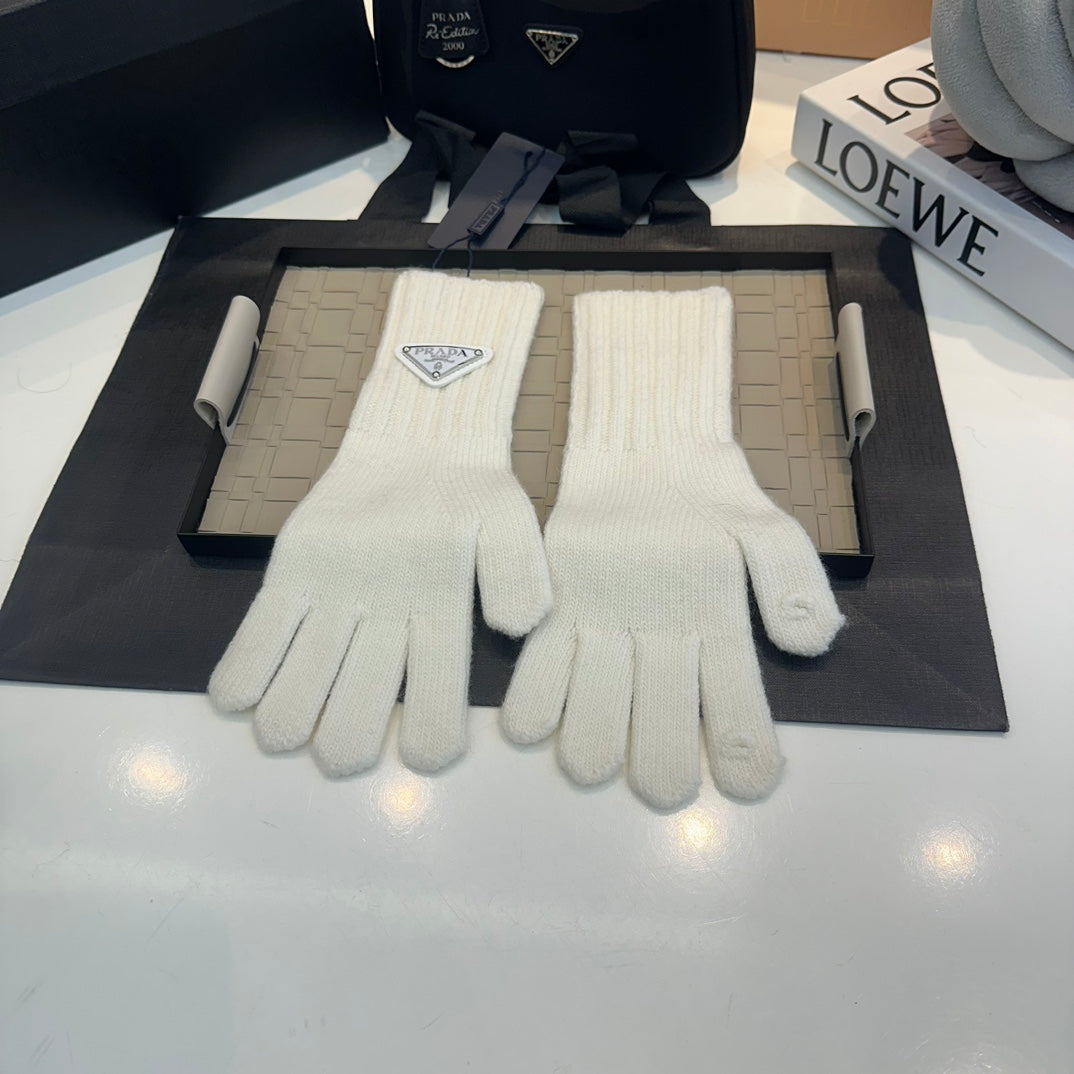 14PD55S   Fashion gloves