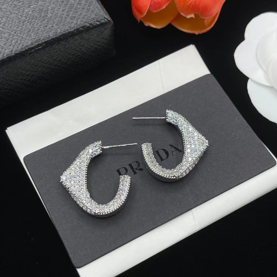 14PD816E   Fashion Earrings