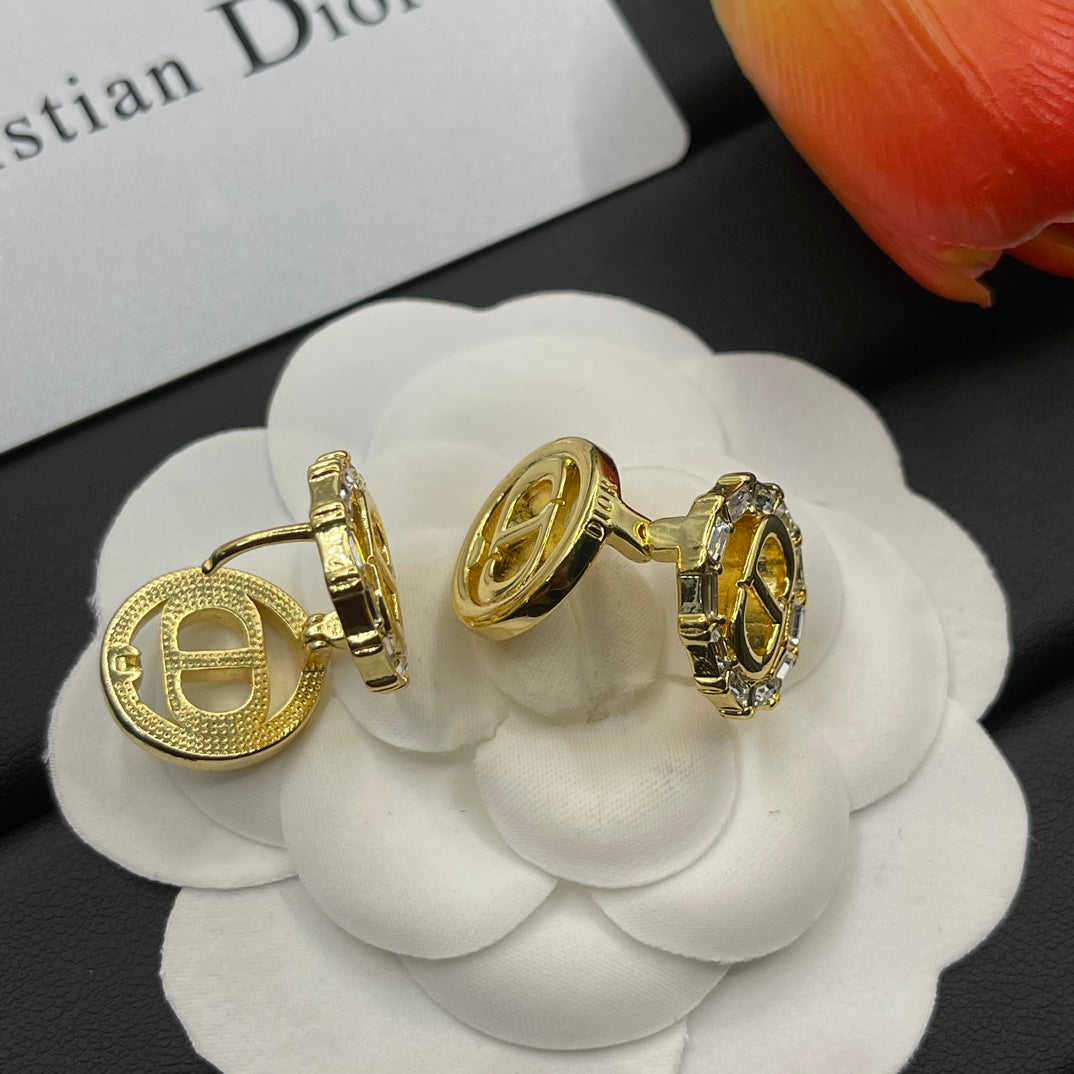 14D1061E  Fashion Earrings