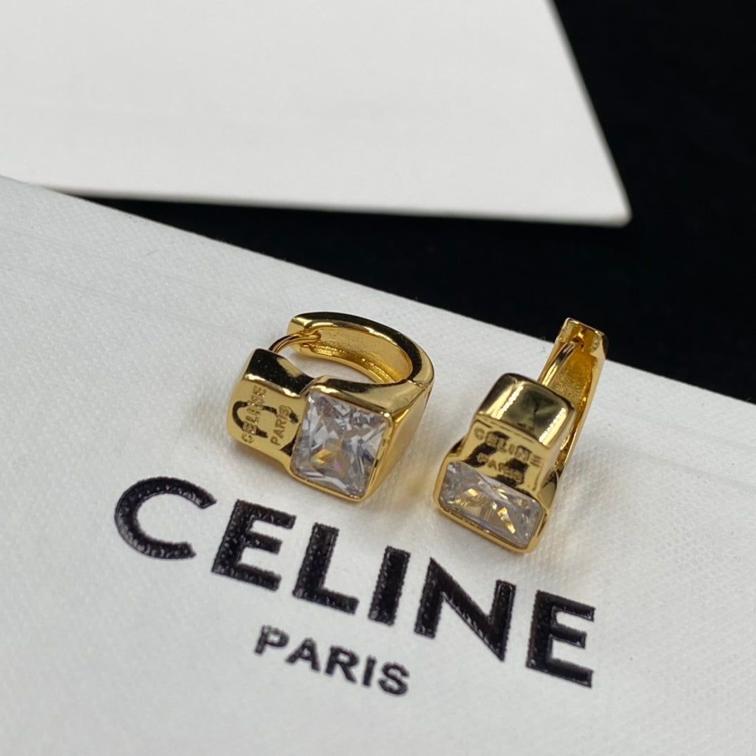 14CL682E  Fashion  Earrings