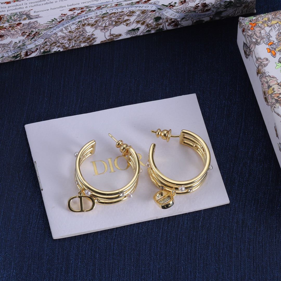 14D497E  Fashionable and high quality Earrings