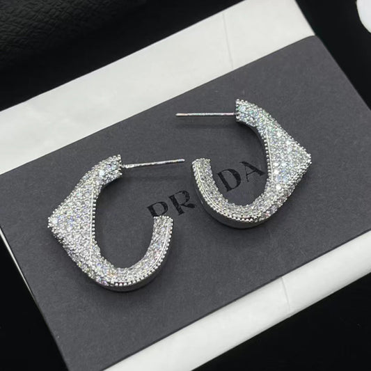 14PD816E   Fashion Earrings