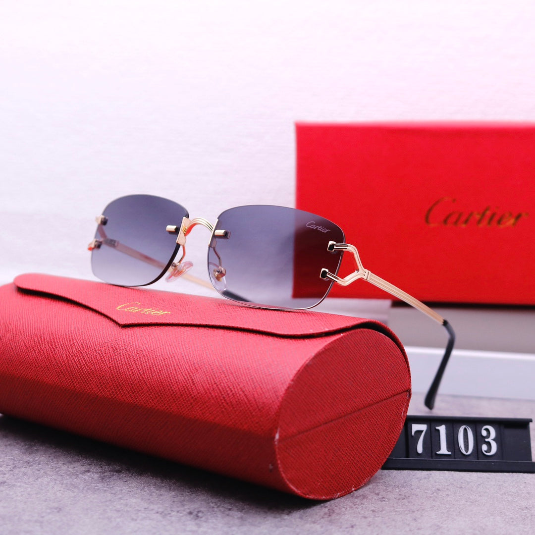 74K449T  fashion Sunglasses