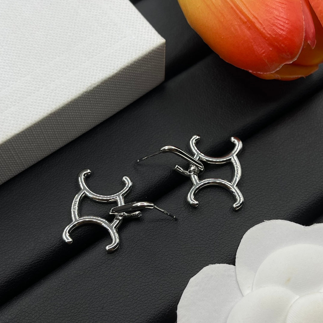 14CL998E  Fashion Earrings