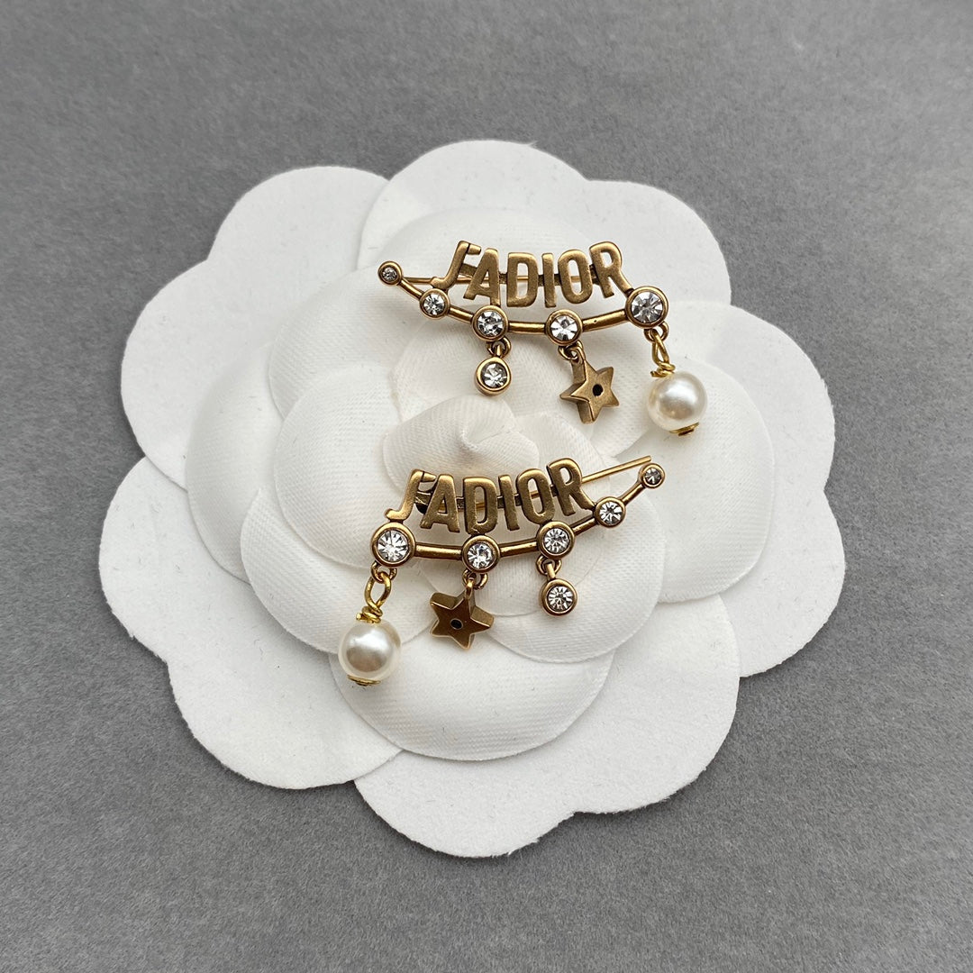 14D968E   Fashion Earrings