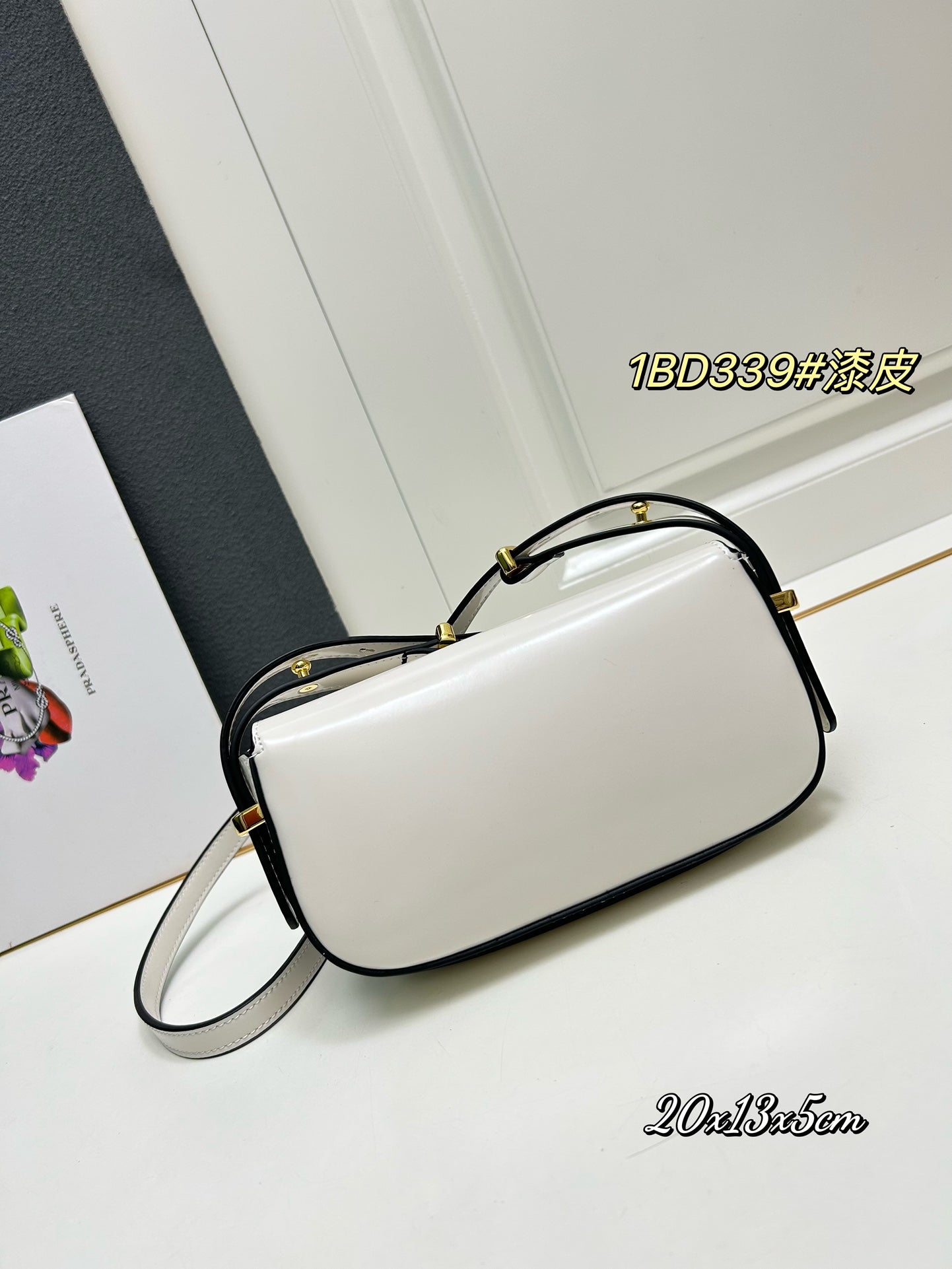 AXPD71B (Fashionable leather bag )