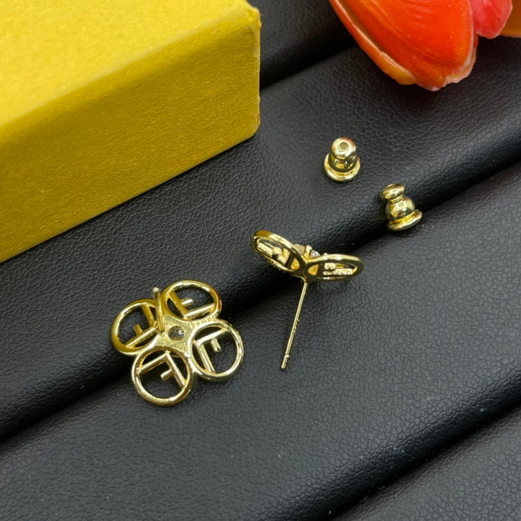 14F642E   Fashion Earrings