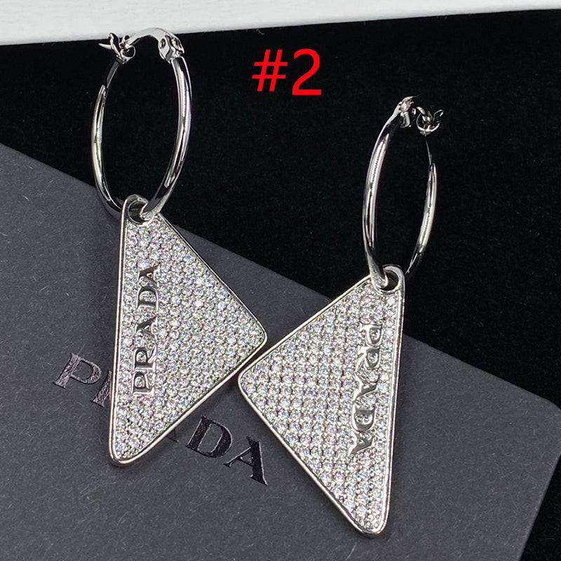 14PD500E  Fashionable and high quality Earrings