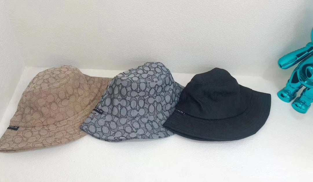 14A256M   Fashion hats