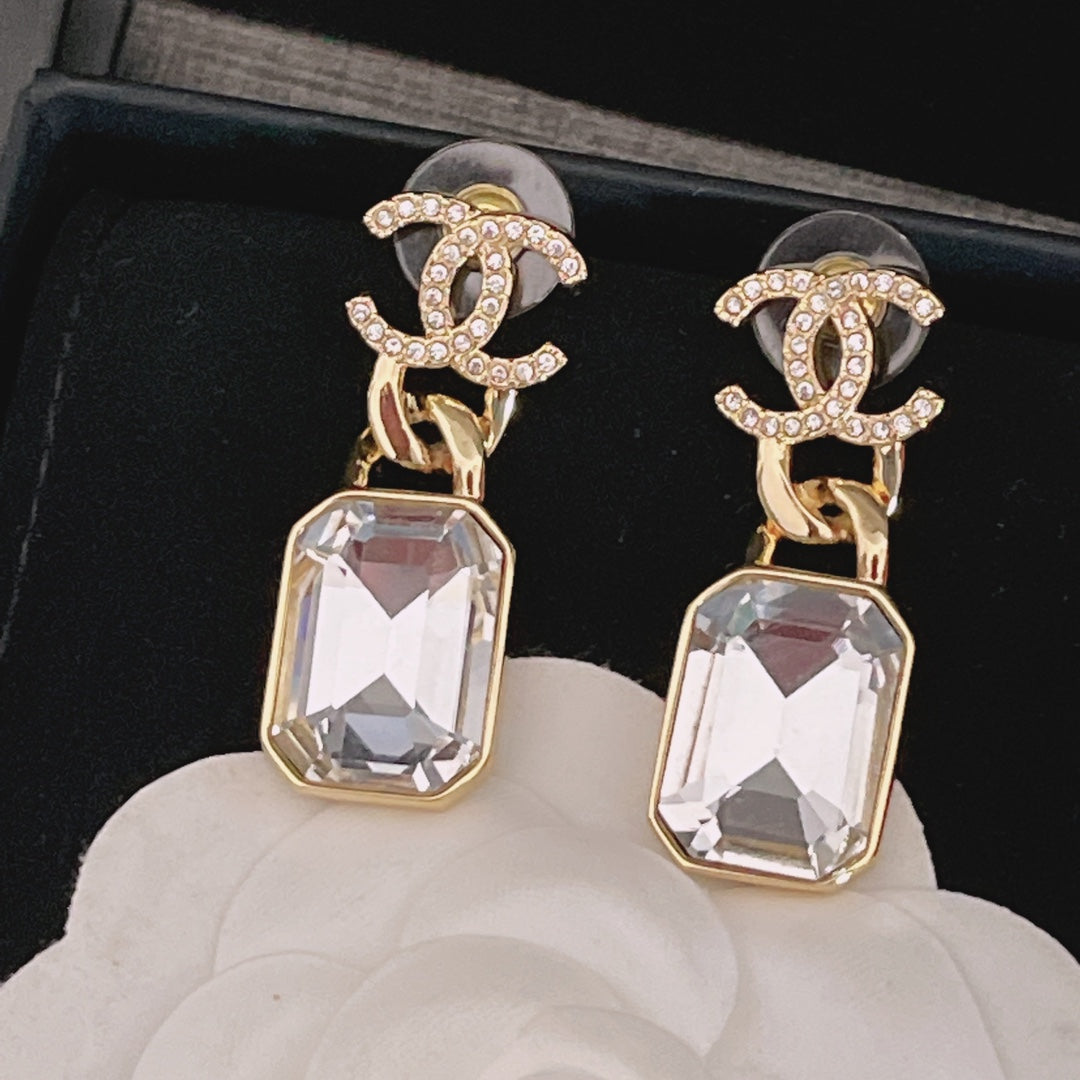 14C341E  Fashionable and high quality Earrings