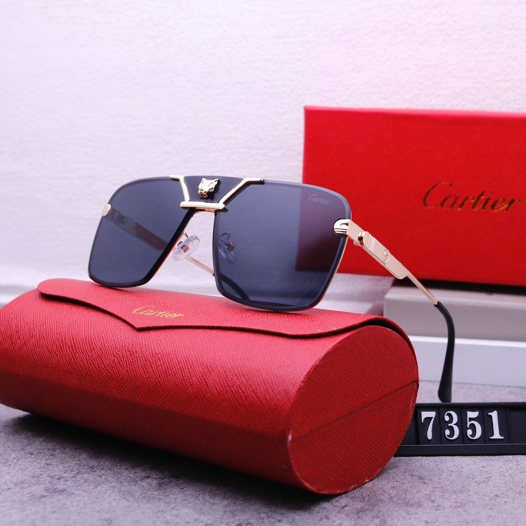 74K409T  fashion Sunglasses