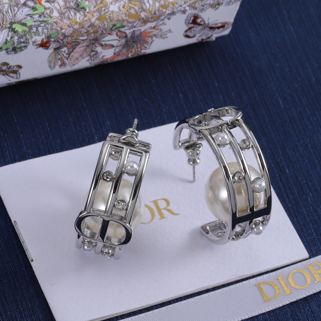 14D419E   Fashionable and high quality  Earrings