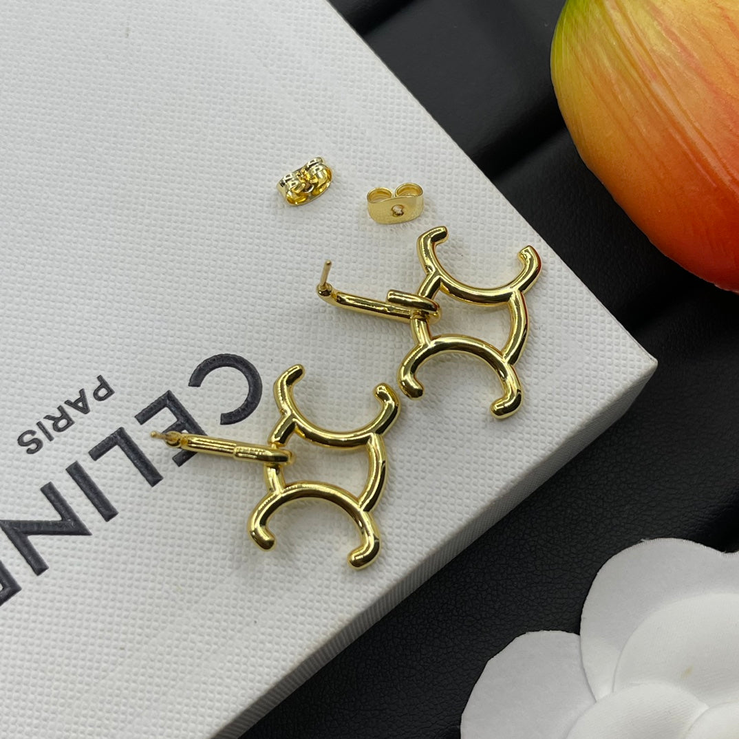 14CL998E  Fashion Earrings