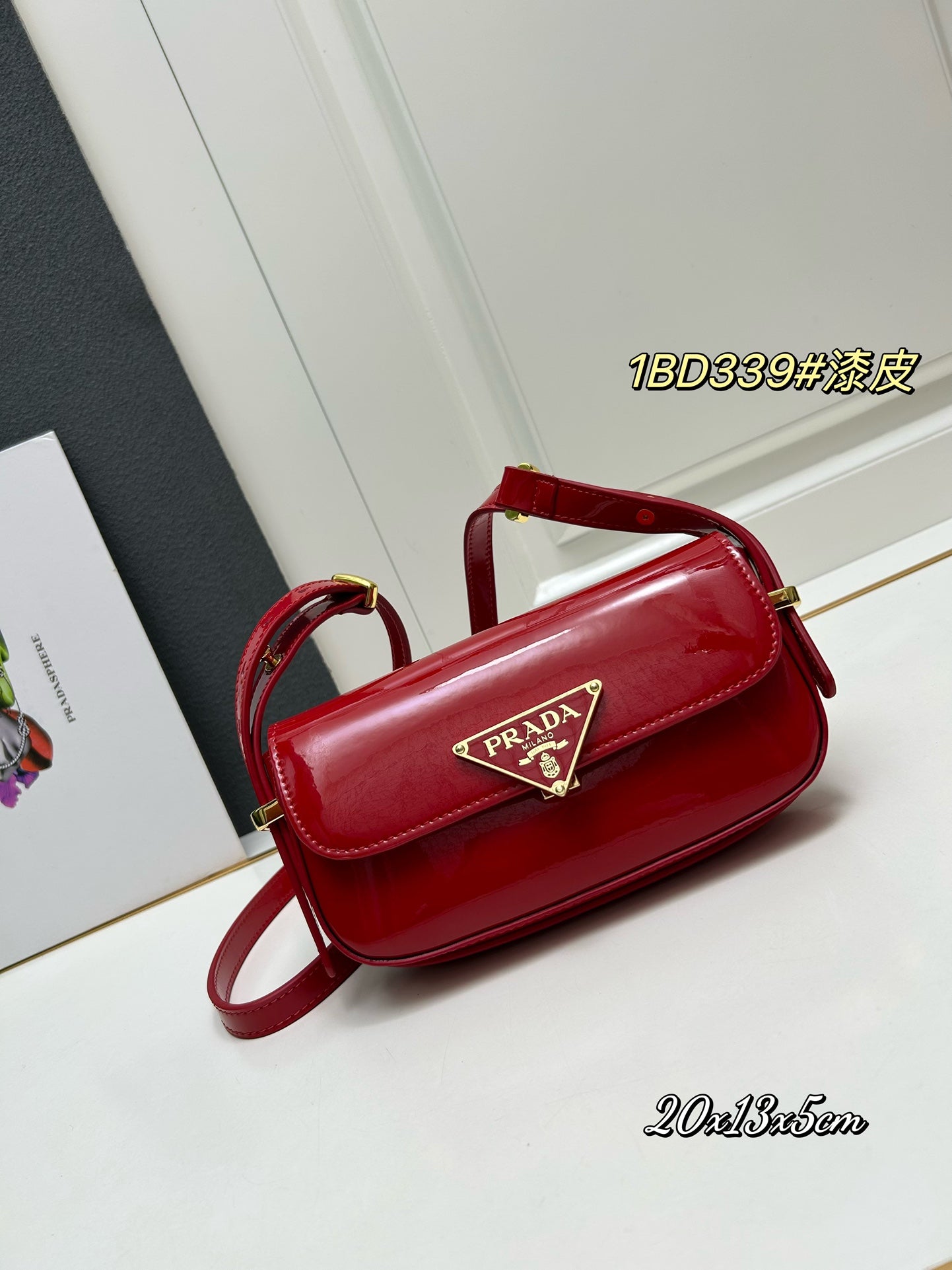 AXPD71B (Fashionable leather bag )