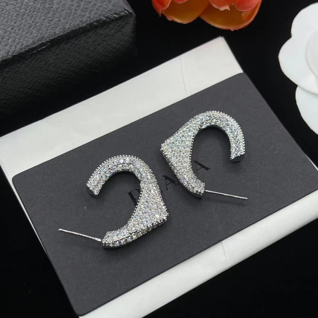 14PD816E   Fashion Earrings