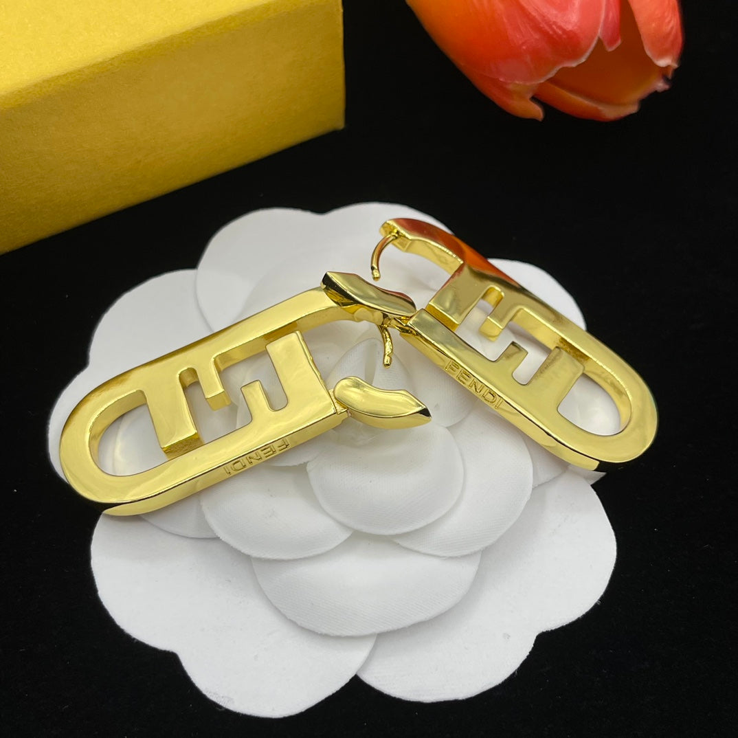 14F646E   Fashion Earrings