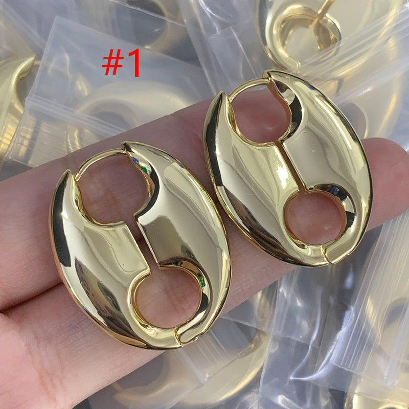 84D87E  Fashionable and high quality Earrings