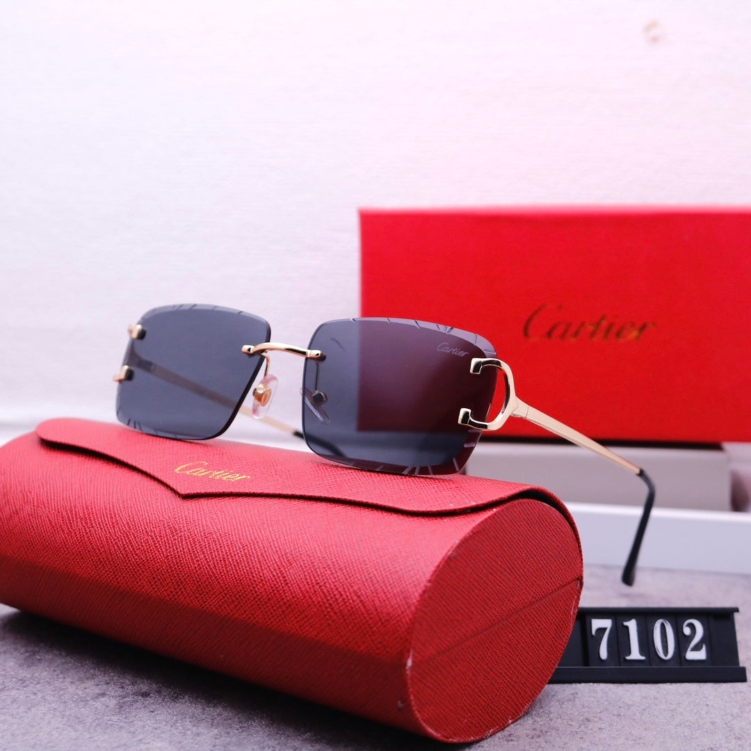 74K448T  fashion Sunglasses