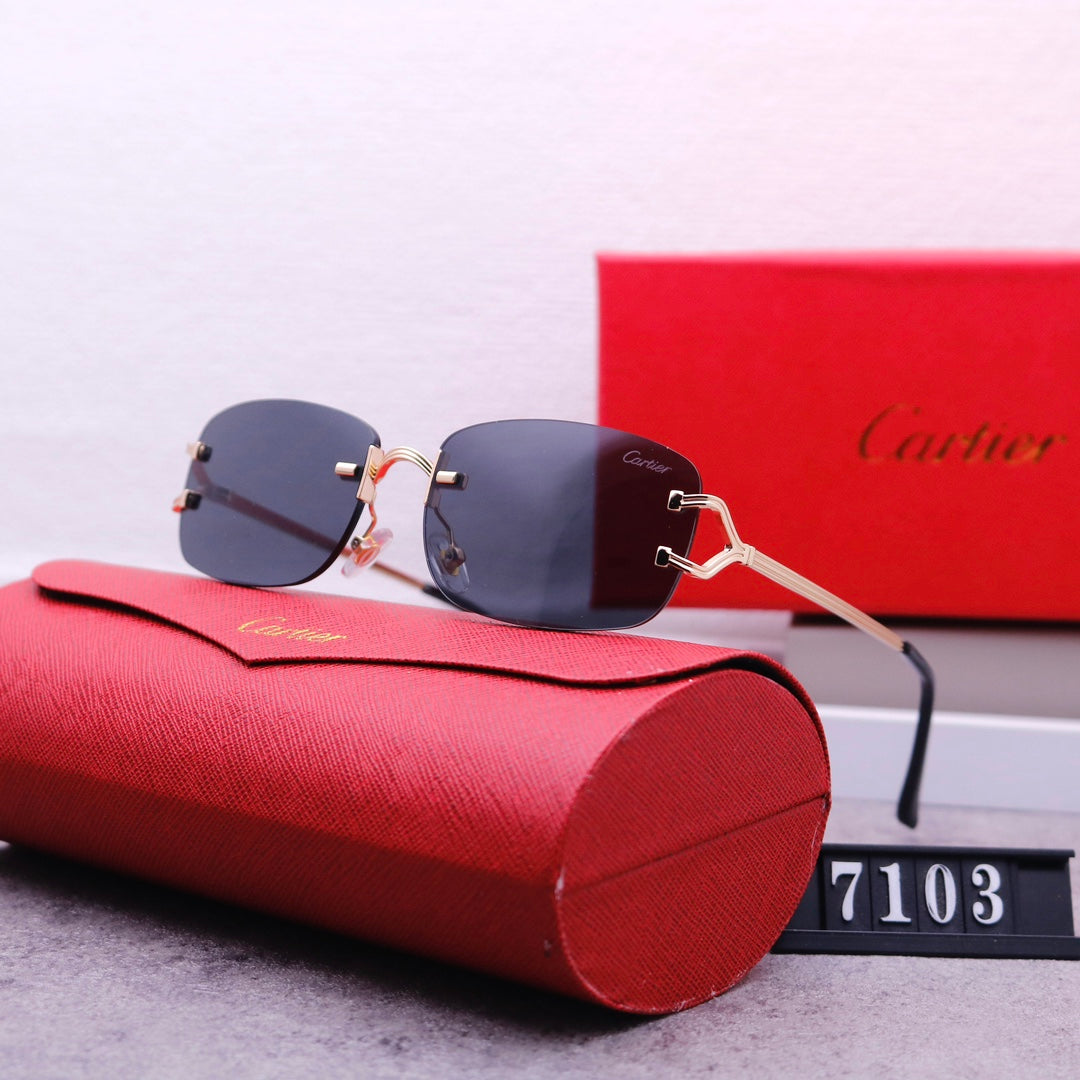 74K449T  fashion Sunglasses