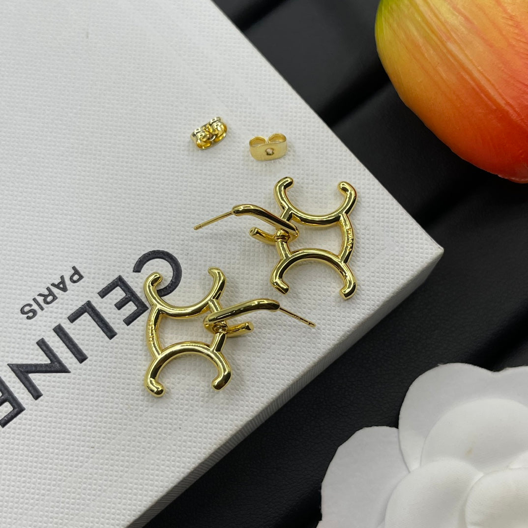 14CL998E  Fashion Earrings